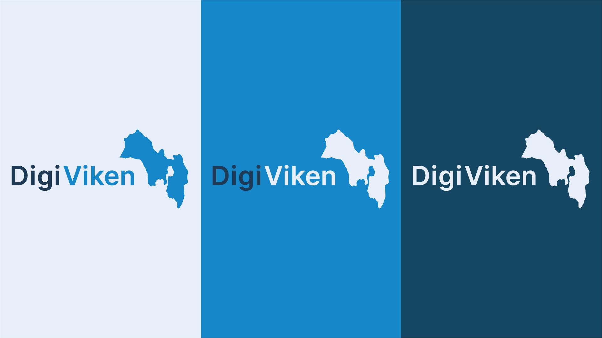 Ny nettside og grafisk profil til DigiViken